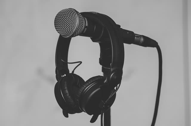 mic